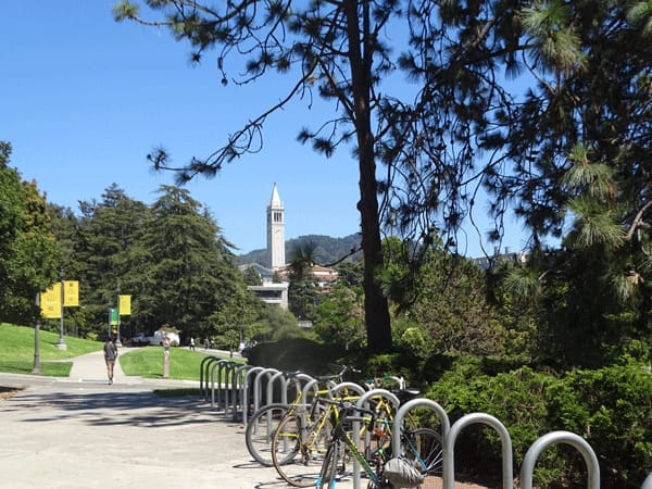 Top 7 Things to Do in San Francisco: photo 8