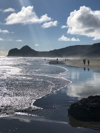 Amazing  free places to visit in Aukland: photo 3