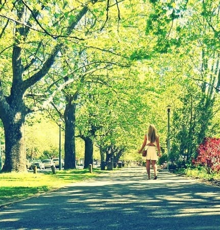 Explore Stellenbosch with insight of locals and deeper meaning.: photo 3