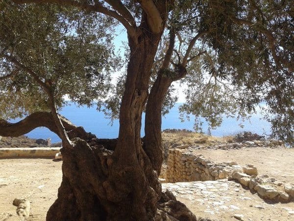 Monemvasia: A journey through time in Southern Greece!: photo 8