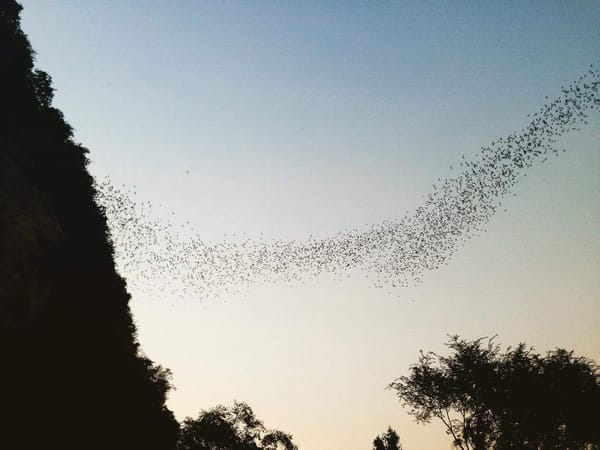 Battambang; Cambodia’s Second Largest City and Why You Should Go: photo 5