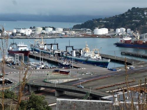 Lyttleton: Magical seaport town: photo 4
