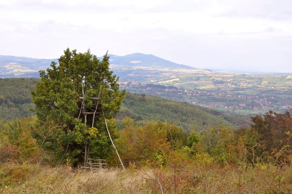 Rudnik - Mountain hidden in the mist: photo 9