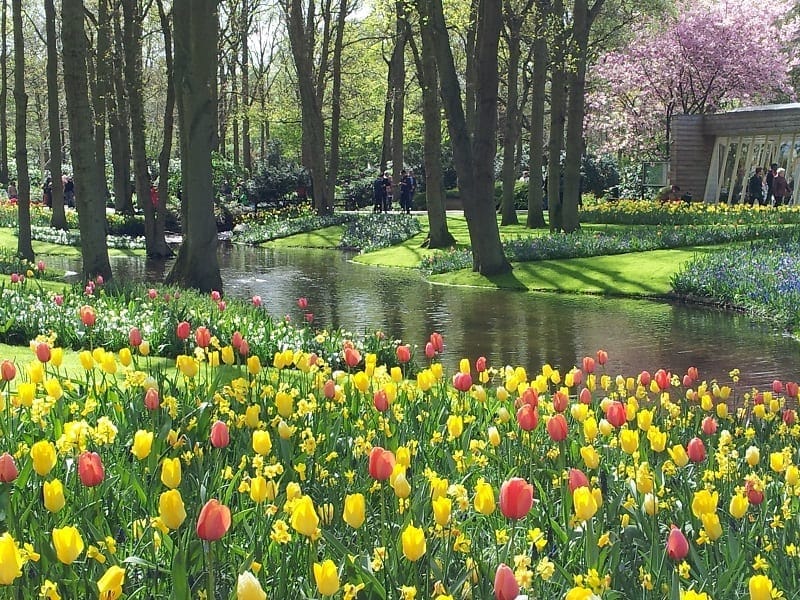 Amsterdam: Amazing Travel Destination