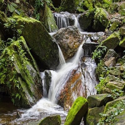 Erin Ijesha waterfall: A beauty to behold