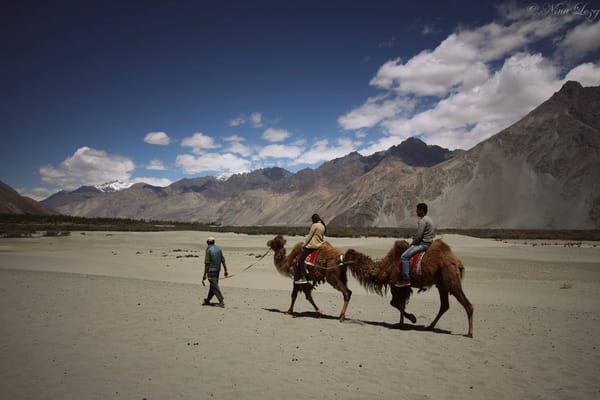 Ladakh: exploring the stunning mountain region of India: photo 9