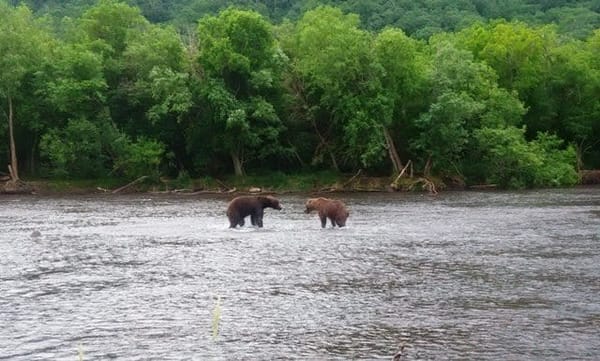 Kamchatka: 7 Reasons to fly to the end of the world: photo 3
