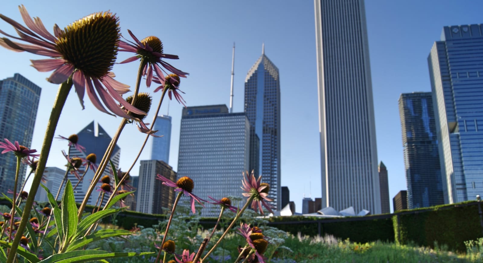 Why Chicago Will Change Your Mind About the U.S. Midwest