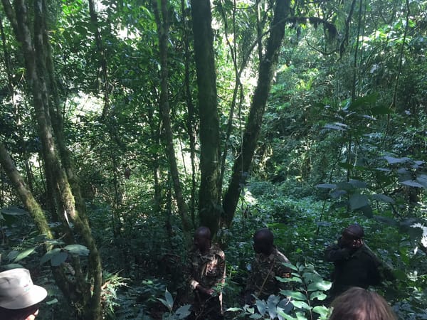 3 THINGS YOU MUST DO IN UGANDA: photo 1