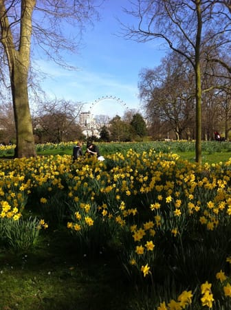Your First Time In: London: photo 4