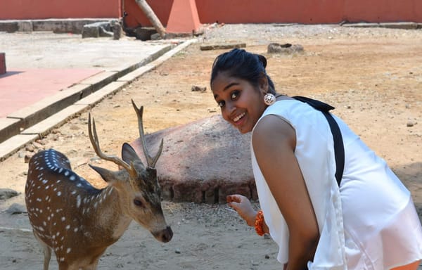Andaman and Nicobar: perfect holiday spot.: photo 4