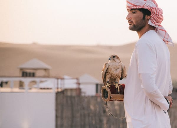 Reasons you should visit Dubai this winter: photo 4