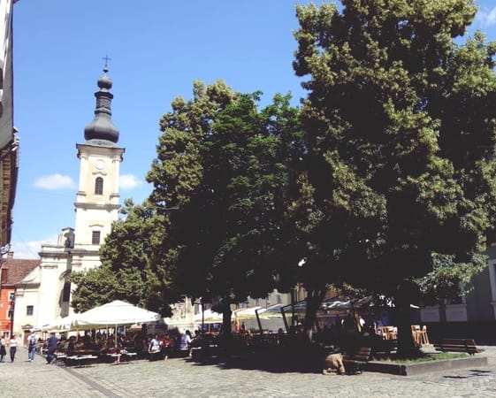7 must-see places in Cluj-Napoca (Transylvania): photo 2