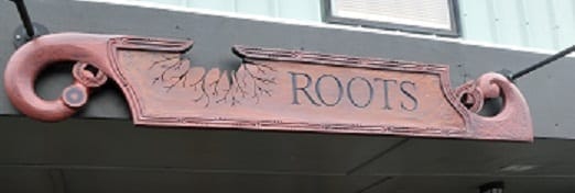 Lyttleton: Magical seaport town: photo 34