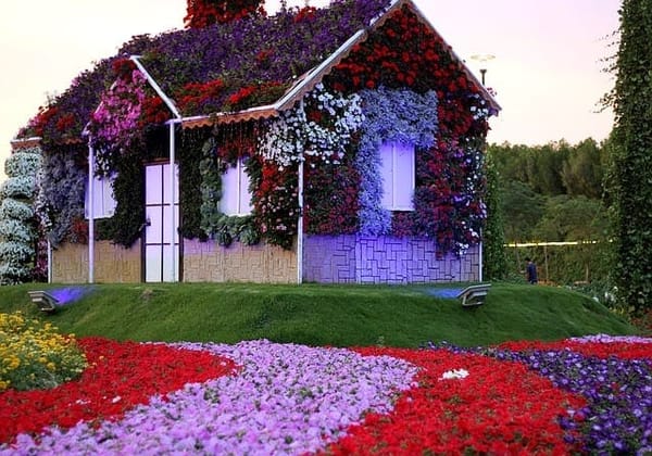 Must See Places in the Desert Country UAE: photo 3