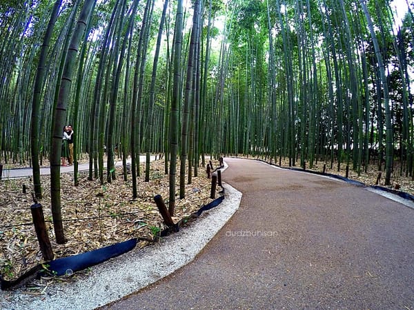 8 Must-See Spots in Kyoto: photo 24