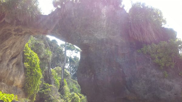Andaman : The undisputed Paradise.: photo 12