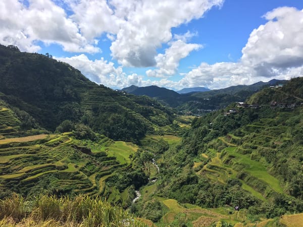 Trekking Mt. Kupapey in Bontoc, Mt. Province: photo 1