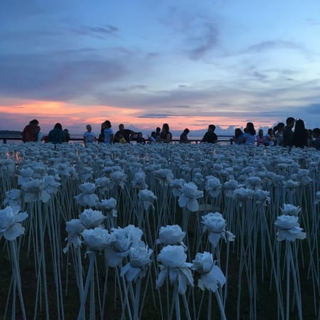 Top 10 Tourist Spots to Visit in Cebu City, Philippines for a Day: photo 16