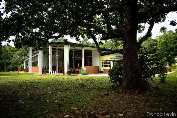 Bako National Park: the complete guide: photo 4