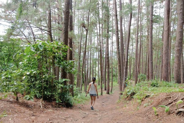 A Hike to Remember: Bucari, Iloilo, Philippines: photo 8