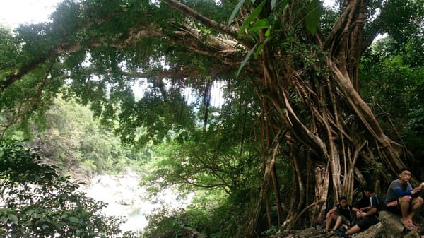 Affordable Hiking Experience in Rizal: photo 5