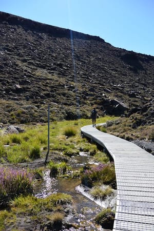New Zealand - Climbing Mt Ngauruhoe in Tongariro National Park: photo 2