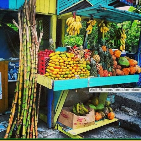 What You Need to Know Before Travelling to Jamaica: photo 2