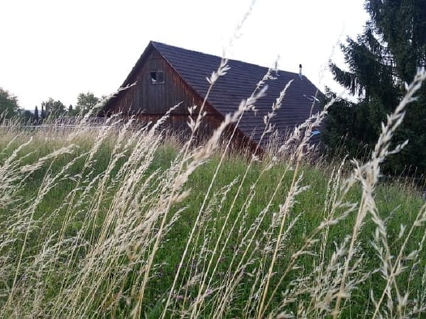 Zurich: Cheese, chocolate, and other amazing things!: photo 1