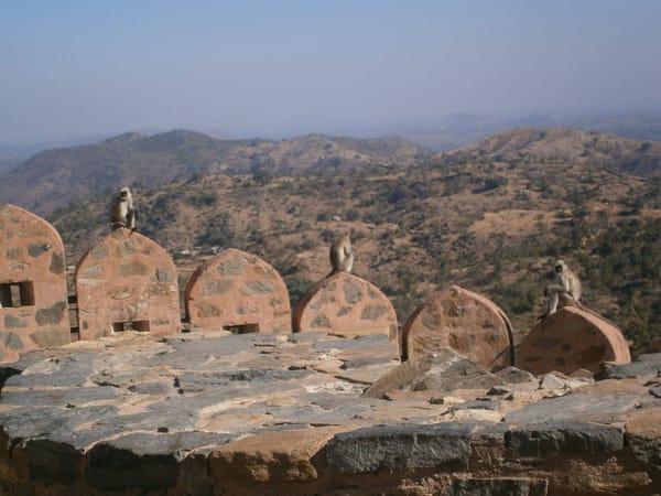 Kumbhalgarh- Something for everyone: photo 2