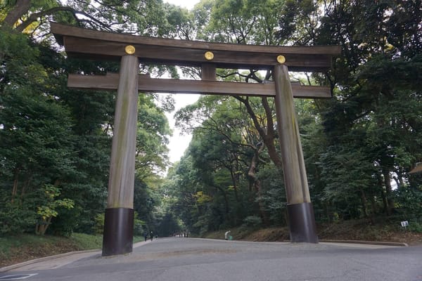 3 Days in Tokyo, Japan: A Travel Blog: photo 16