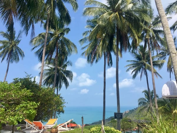 Koh Samui: 5 Great Things to See and Do: photo 5