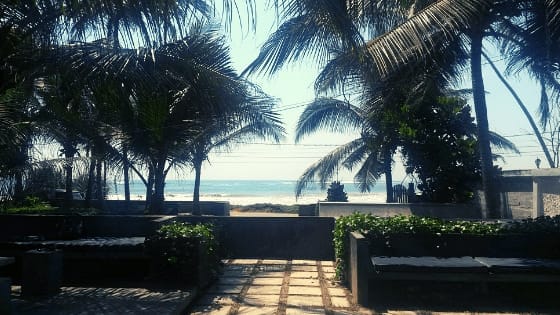 Top Veggie Restaurants in Mirissa, Sri Lanka