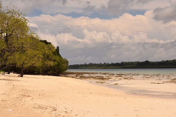 Andaman Islands: Pearls in a sea of blue: photo 4