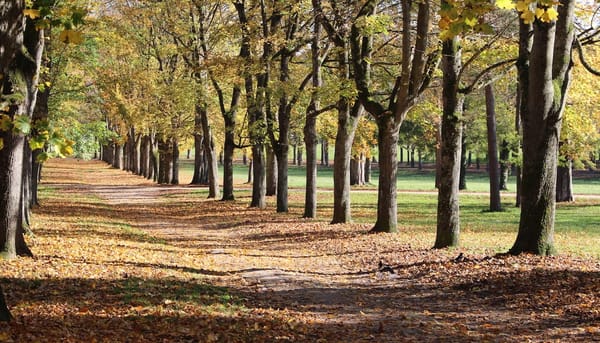 Fontainebleau: More than just a Castle: photo 2