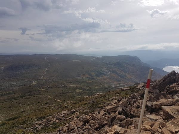 A Ten Day Tasmanian Road Trip: photo 7