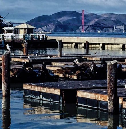 This is San Francisco: photo 4