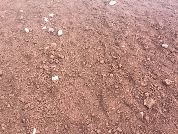 Fly In and Out of Tokyo to Climb Mt.Fuji in 40 Hours: photo 18