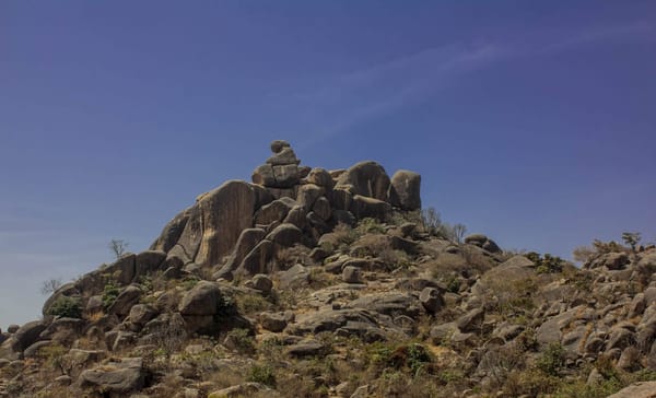 Shere Hills: A Hiker’s Dream Location: photo 1