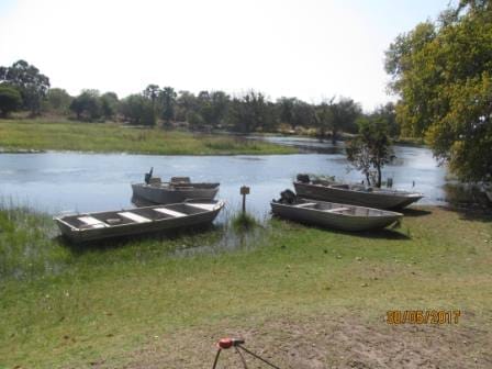 Maun:your stay at Old bridge backpackers: photo 4