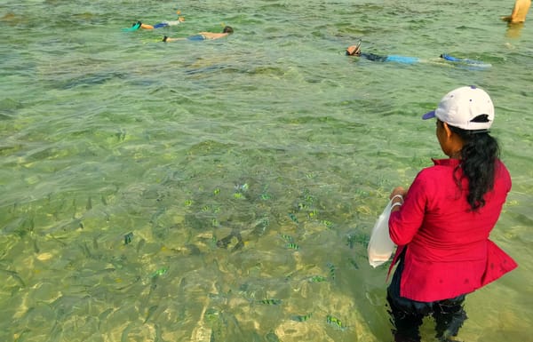Galle : The Top 06 Things to do: photo 4