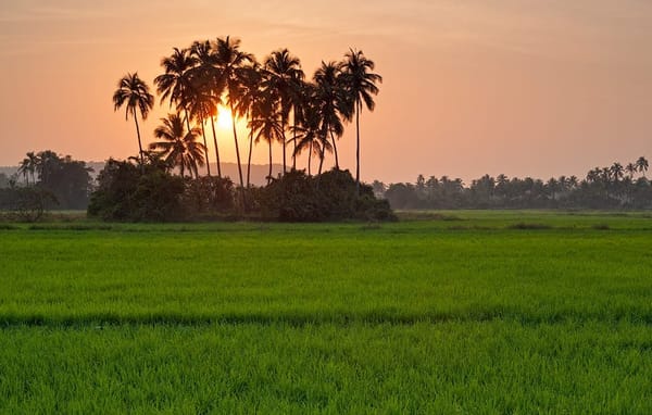 Some Must Do Things In Goa, India.: photo 4
