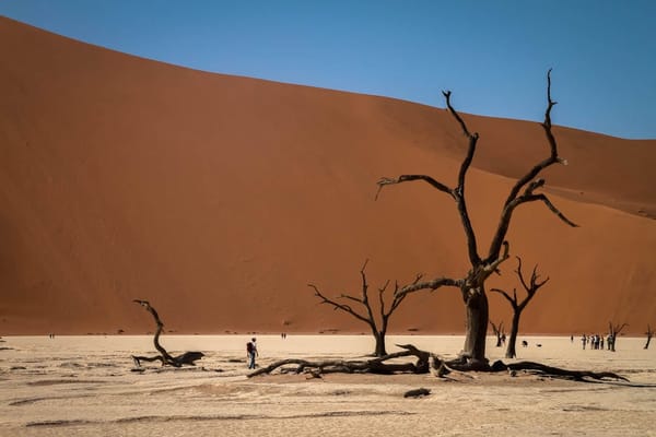 The wonders of Namibia: photo 2