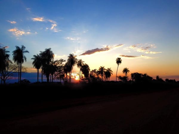 Bonito, Mato Grosso do Sul: 4 days of a road trip in Brazil: photo 7