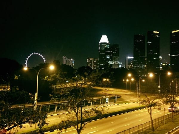 SINGAPORE: A LAYOVER CHALLENGE: photo 1