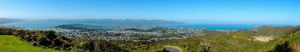 Hawkins Hill: The Hidden Gem of Wellington, New Zealand: photo 3