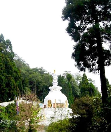 Darjeeling- the queen of Hills: photo 3