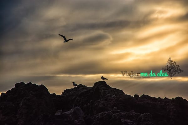 THE TOP 20 MOST SPECTACULAR PLACES TO WATCH SUNSETS IN THE CANARY ISLANDS: photo 12