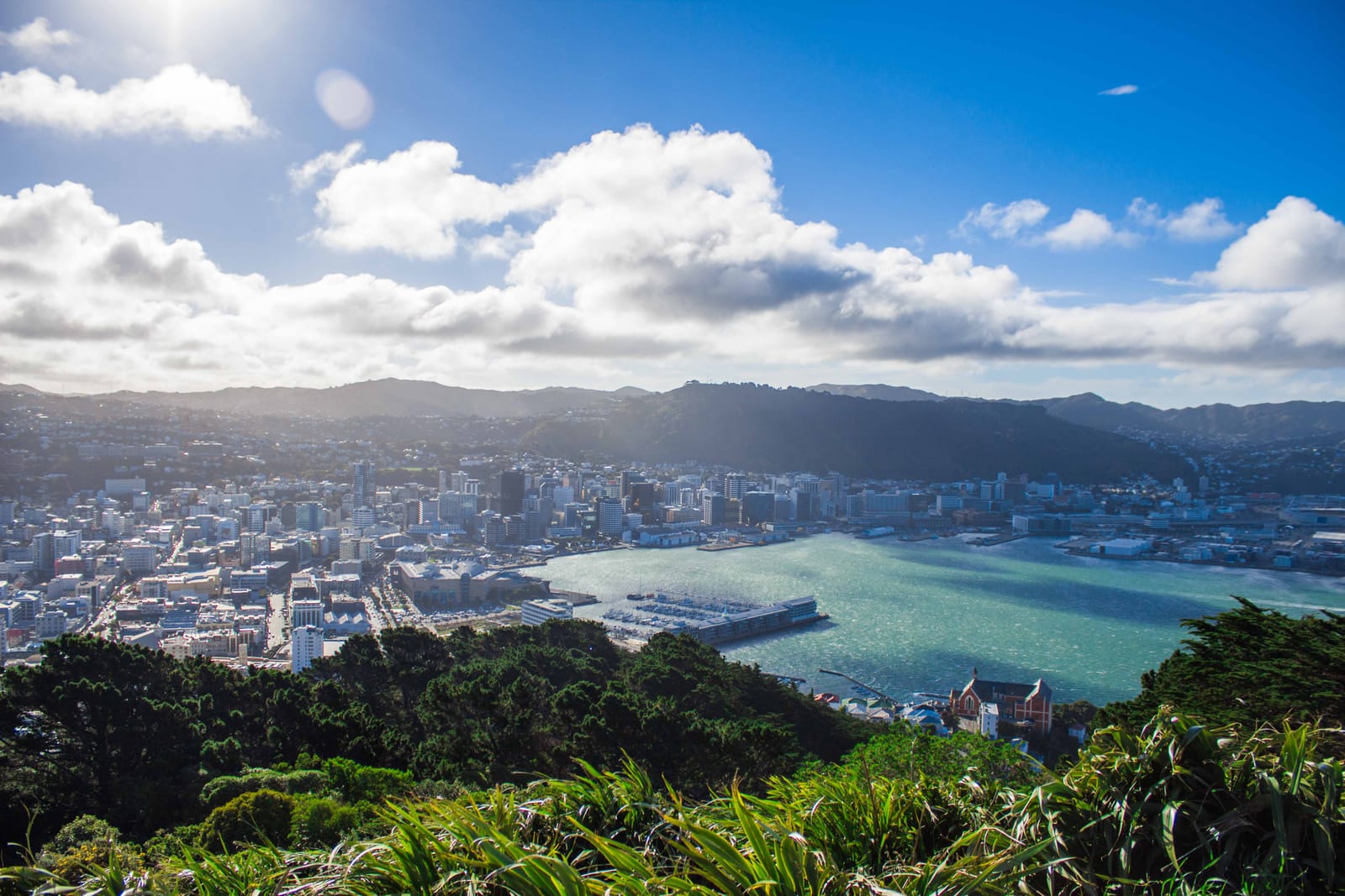 Wellington, New Zealand. Things to do that are free