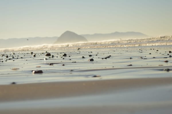 Winter in San Francisco: photo 2